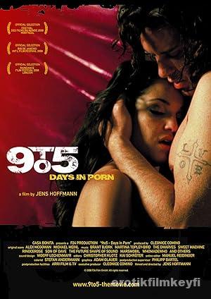 9 to 5 Days in Porn 2008 izle