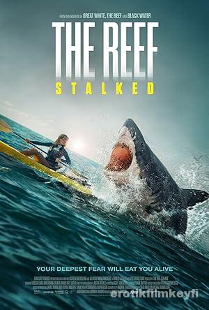 The Reef: Stalked izle